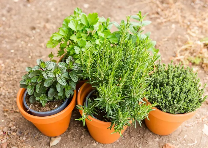 アパート Lakeside