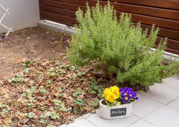 Lakeside * ツェルクニツァ